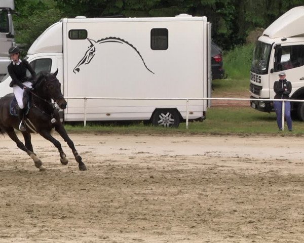Reitturnier Heiligenwald 2021