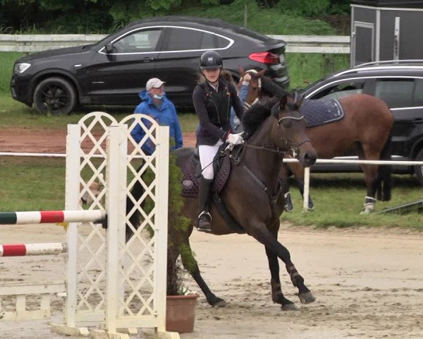 Reitturnier Heiligenwald 2021