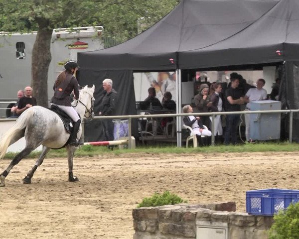 Reitturnier Heiligenwald 2021