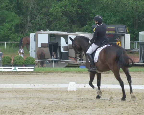 Reitturnier Heiligenwald 2021