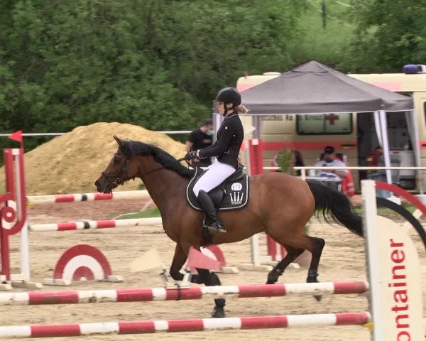 Reitturnier Heiligenwald 2021