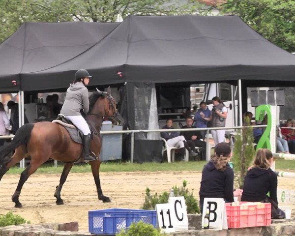 Reitturnier Heiligenwald 2021