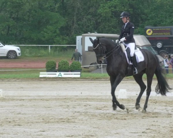 Reitturnier Heiligenwald 2021