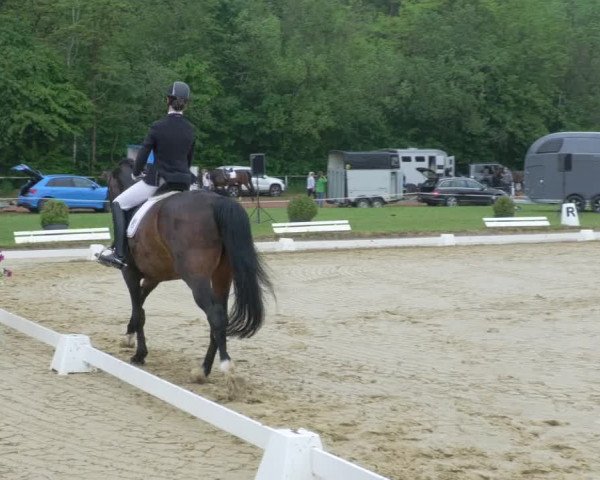 Reitturnier Heiligenwald 2021