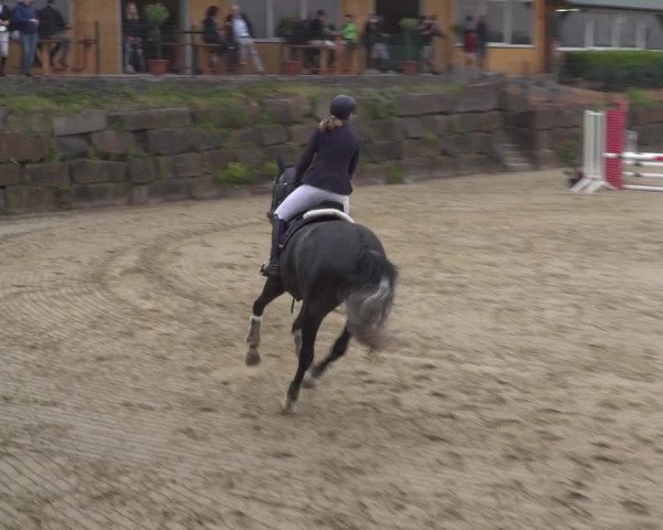 Reitturnier Lindlar-Süttenbach 2021
