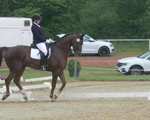 Reitturnier Heiligenwald 2021