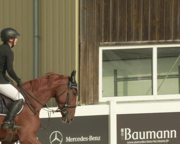 Springturnier Memmingen 2021