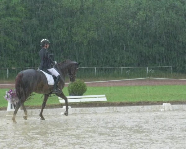 Reitturnier Heiligenwald 2021