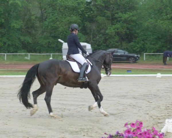 Reitturnier Heiligenwald 2021