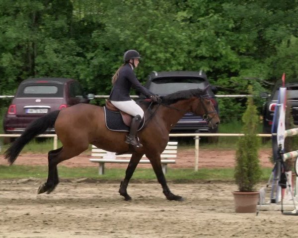 Reitturnier Heiligenwald 2021