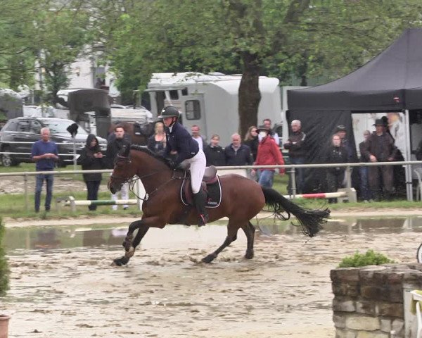 Reitturnier Heiligenwald 2021