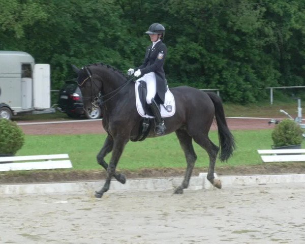 Reitturnier Heiligenwald 2021