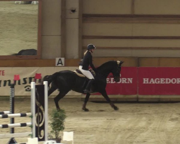 Steinhagen Classics 2021