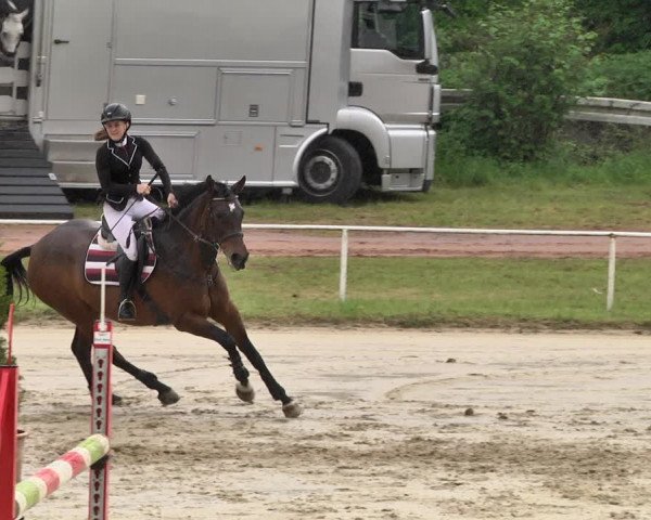 Reitturnier Heiligenwald 2021