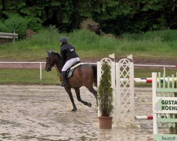 Reitturnier Heiligenwald 2021