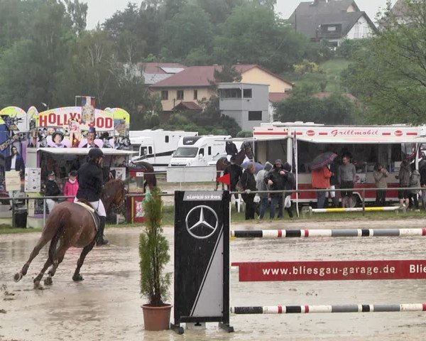 Reitturnier Heiligenwald 2021