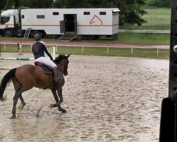Reitturnier Heiligenwald 2021