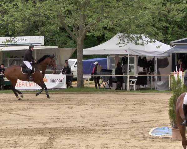 Reitturnier Heiligenwald 2021