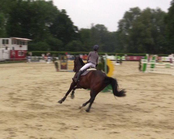 Reitturnier Münster-Handorf 2021