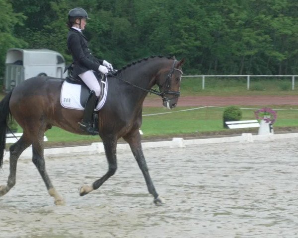 Reitturnier Heiligenwald 2021