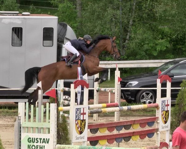Reitturnier Heiligenwald 2021