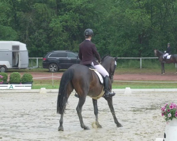 Reitturnier Heiligenwald 2021