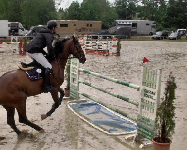 Reitturnier Heiligenwald 2021