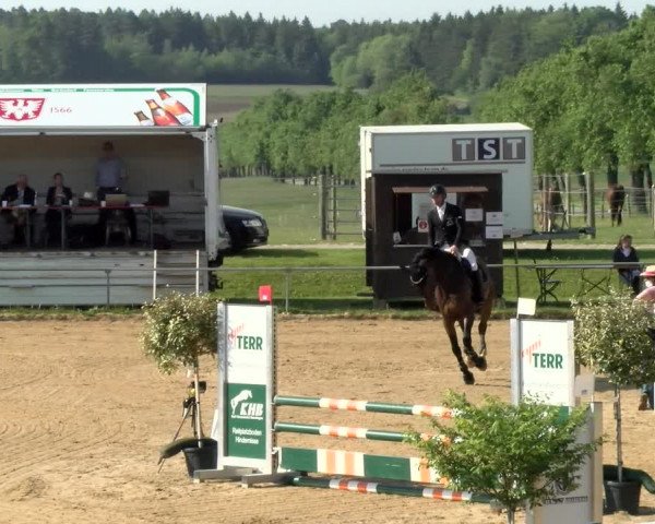 Reitturnier Zoltingen/Schw. 2021