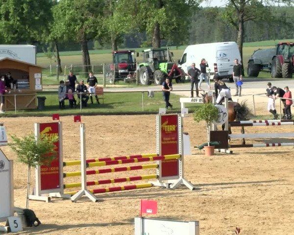 Reitturnier Zoltingen/Schw. 2021