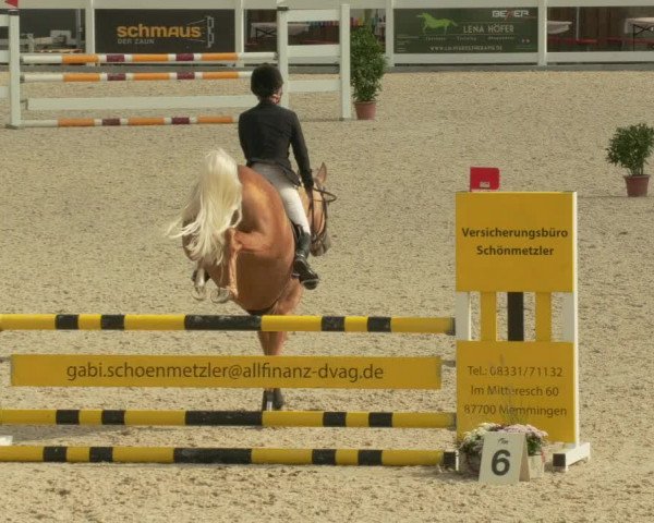 Springturnier Memmingen 2021