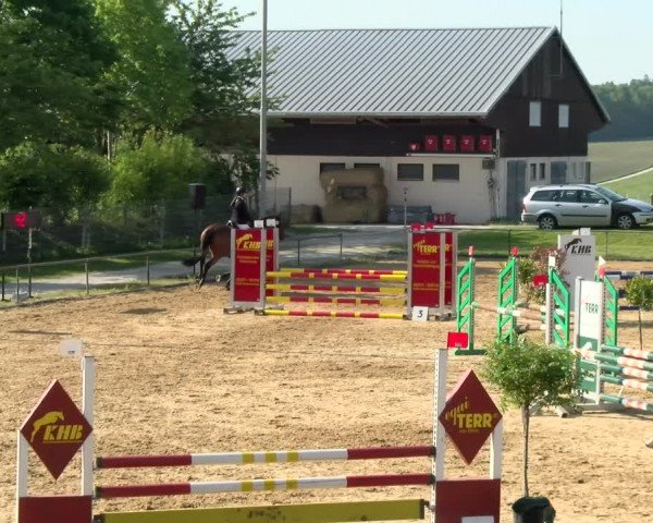 Reitturnier Zoltingen/Schw. 2021