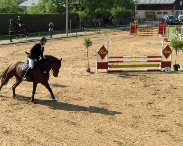 Reitturnier Zoltingen/Schw. 2021