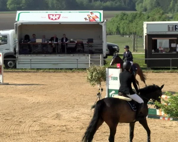 Reitturnier Zoltingen/Schw. 2021
