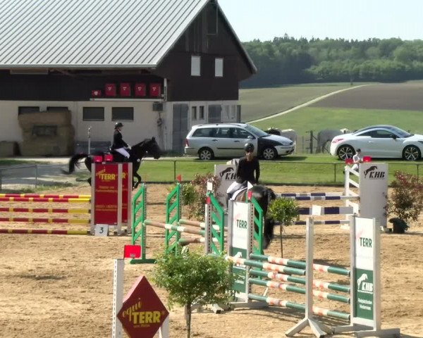 Reitturnier Zoltingen/Schw. 2021
