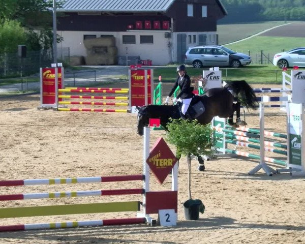 Reitturnier Zoltingen/Schw. 2021