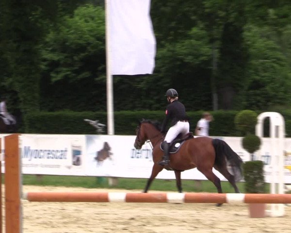 Reitturnier Münster-Handorf 2021