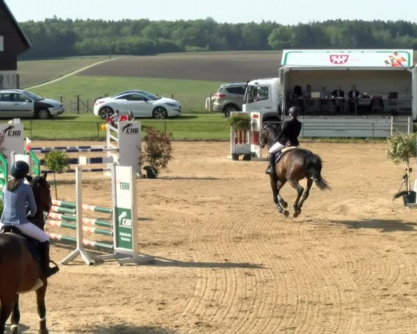 Reitturnier Zoltingen/Schw. 2021