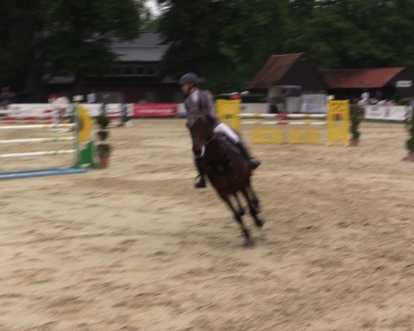 Reitturnier Münster-Handorf 2021