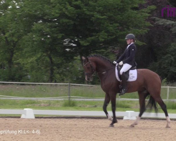Reitturnier Hille 2021