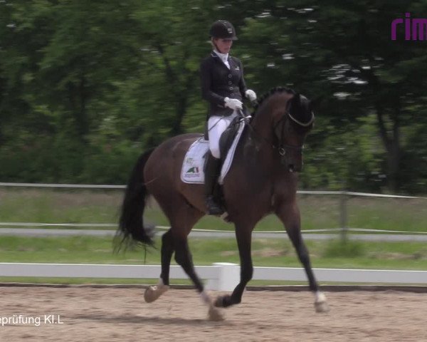 Reitturnier Hille 2021