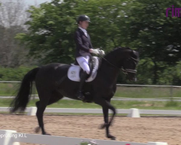 Reitturnier Hille 2021