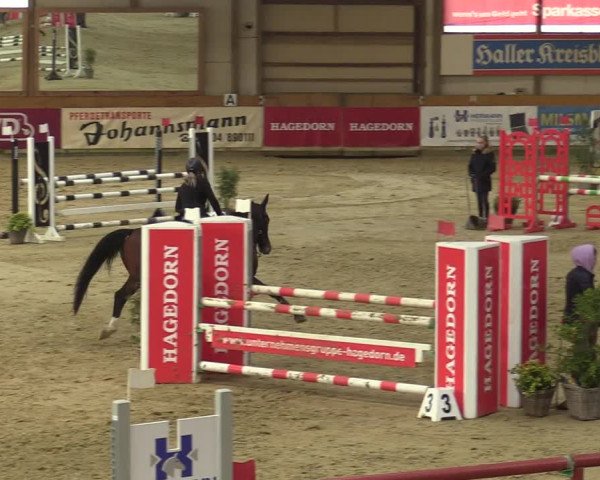 Steinhagen Classics 2021