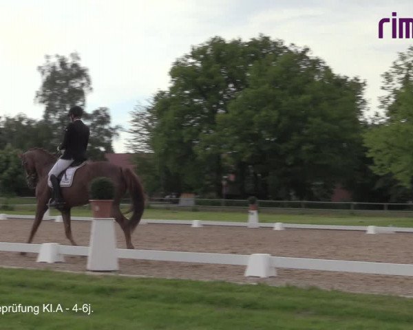 Reitturnier Hille 2021