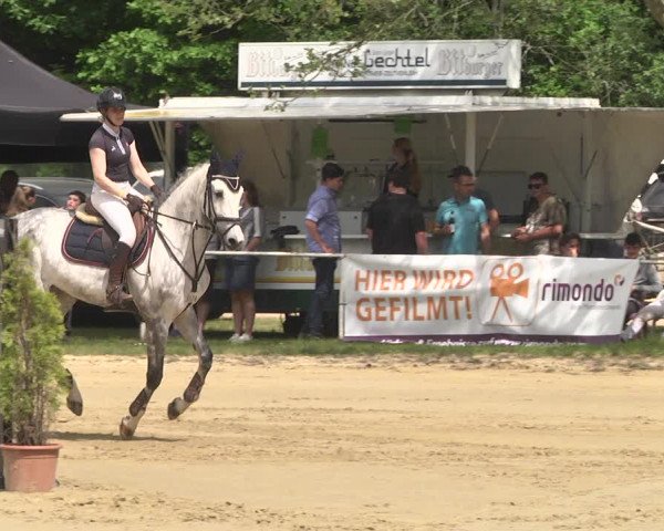 Reitturnier Heiligenwald 2021