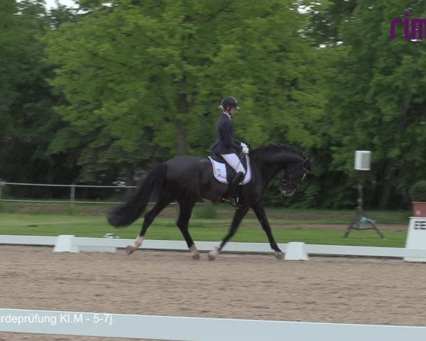 Reitturnier Hille 2021
