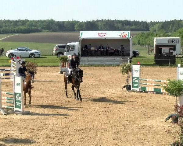 Reitturnier Zoltingen/Schw. 2021