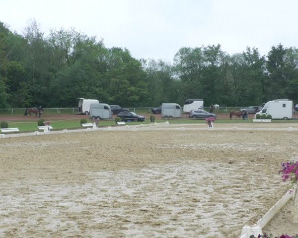 Reitturnier Heiligenwald 2021