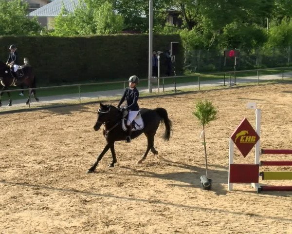 Reitturnier Zoltingen/Schw. 2021