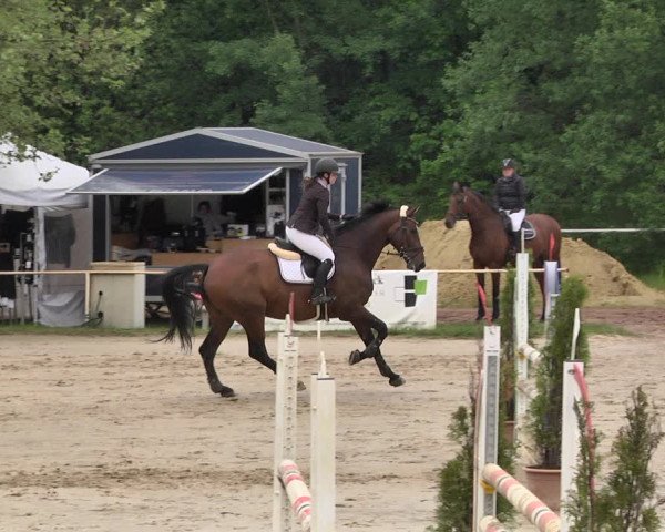 Reitturnier Heiligenwald 2021