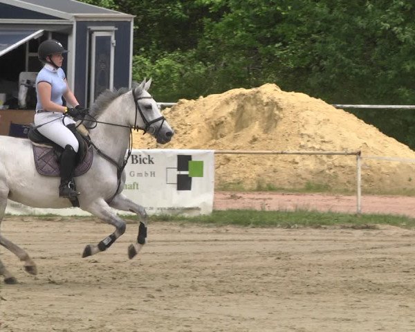 Reitturnier Heiligenwald 2021